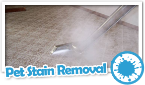 Carpet Steam Cleaning